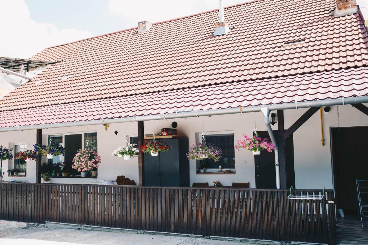 Paulaapartment&Rooms Oradea Exterior foto